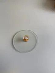 Foto 5 von Keramik Snackschale 3er Set mit Deckel Vorratsdose Aufbewahrung Küche
